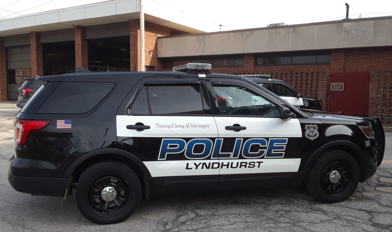 Lyndhurst police vehicle